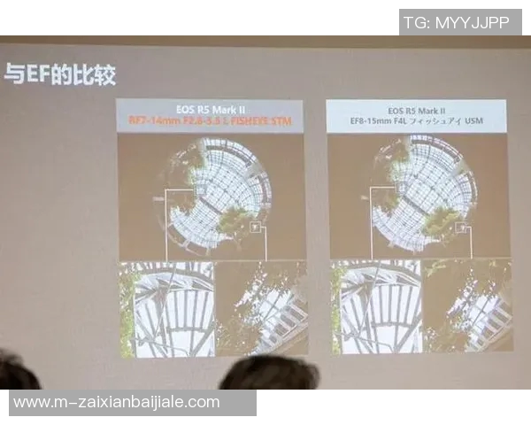 2026年3月份新闻对话赵芳回顾她的篮球生涯与成长之路